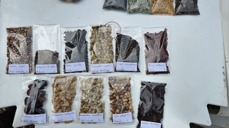 Projeto SilvesTRE em Mata Cavalo 9