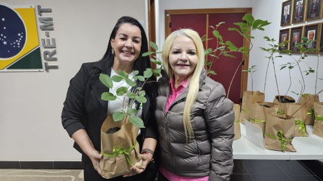 Entrega e plantio de mudas - Projeto SilvesTRE 12