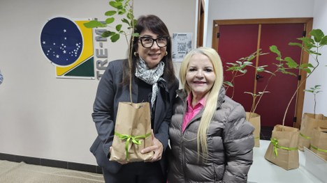 Entrega e plantio de mudas - Projeto SilvesTRE 12