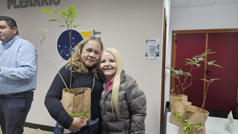 Entrega e plantio de mudas - Projeto SilvesTRE 12