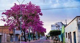 Guiratinga fará atendimento eleitoral noturno para ampliar coleta biométrica