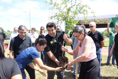 Plantio de mudas Unicred  9
