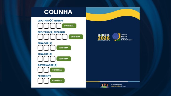 Baixe aqui sua colinha para impressão e vote com tranquilidade