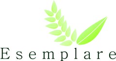 Logo do prêmio Esemplare