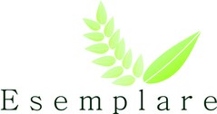 Logo do prêmio Esemplare