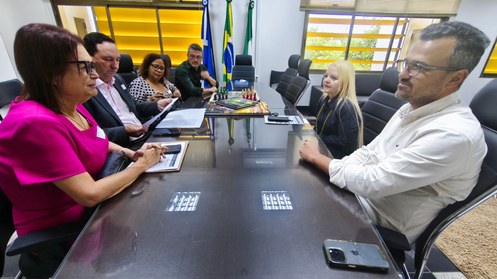 Desembargadora Serly Marcondes apresentou balanço das ações do primeiro turno, que registrou abs...