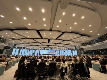 Projeto do TRE-MT “Linguagem Simples e Democracia” é apresentado em conferência internacional