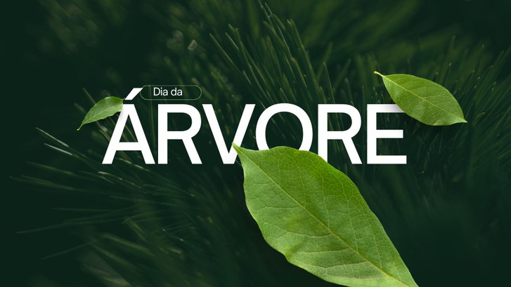 TRE-MT celebra o Dia da Árvore e reforça compromisso com sustentabilidade e democracia TRE-MT celebra o Dia da Árvore e reforça compromisso com sustentabilidade e democracia