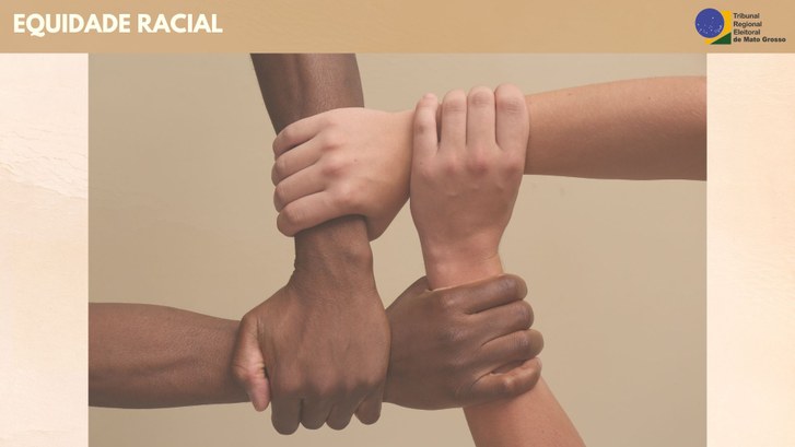 TRE-MT COMITE GESTOR DE IGUALDADE RACIAL TRE-MT COMITE GESTOR DE IGUALDADE RACIAL