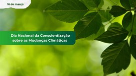 TRE-MT faz inventário de emissões de gases de efeito estufa para compensação de carbono