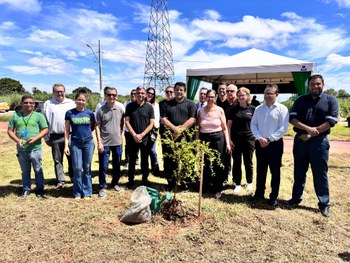 Plantio de mudas Unicred  9