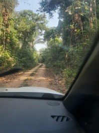 Mutirão na aldeia Pé de Mutum 4