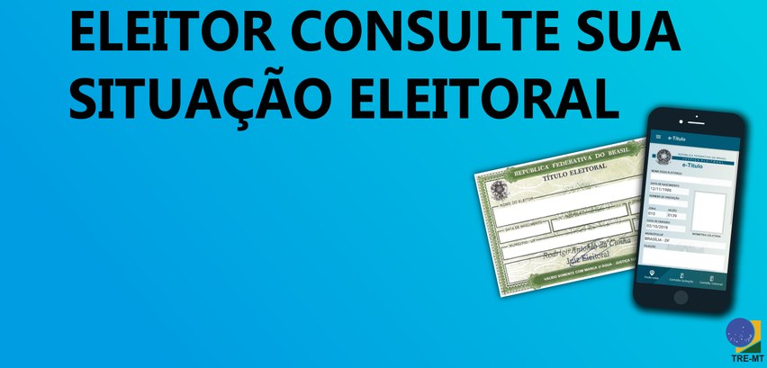 Imagem mostra consulta do título eleitoral