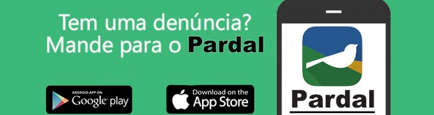 tre-mt-imagem-página-pardal