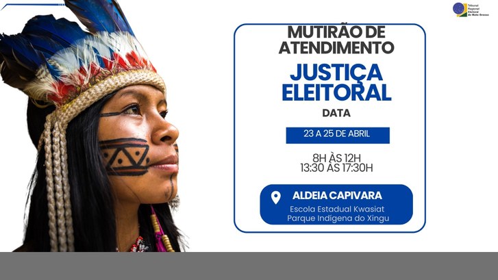 TRE-MT MUTIRÃO 15 ZE