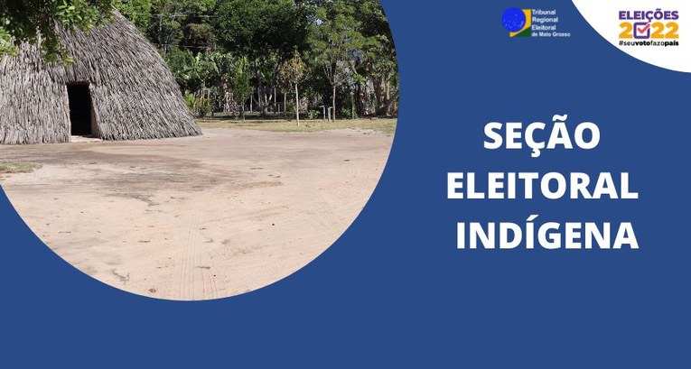 TRE-MT SEÇÃO ELEITORAL INDÍGENA